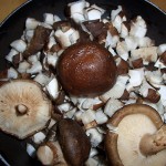 Вкусный и полезный гриб шиитаке, его лечебные свойства