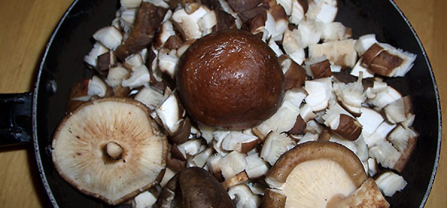 Вкусный и полезный гриб шиитаке, его лечебные свойства