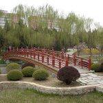 Китайский сад: принципы формирования деревьев и кустарников